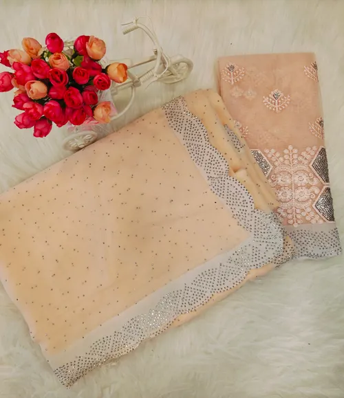 DESIGNER SAREE WITH WORK BLOUSE DS02